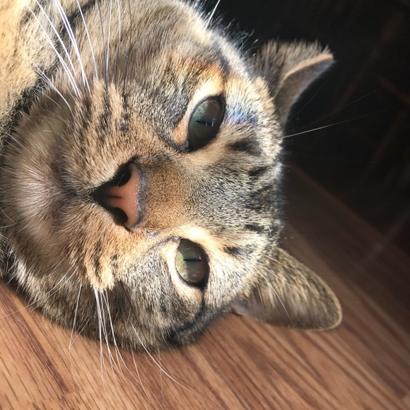 Meet your Posher, Christy - Picture 9 of 9